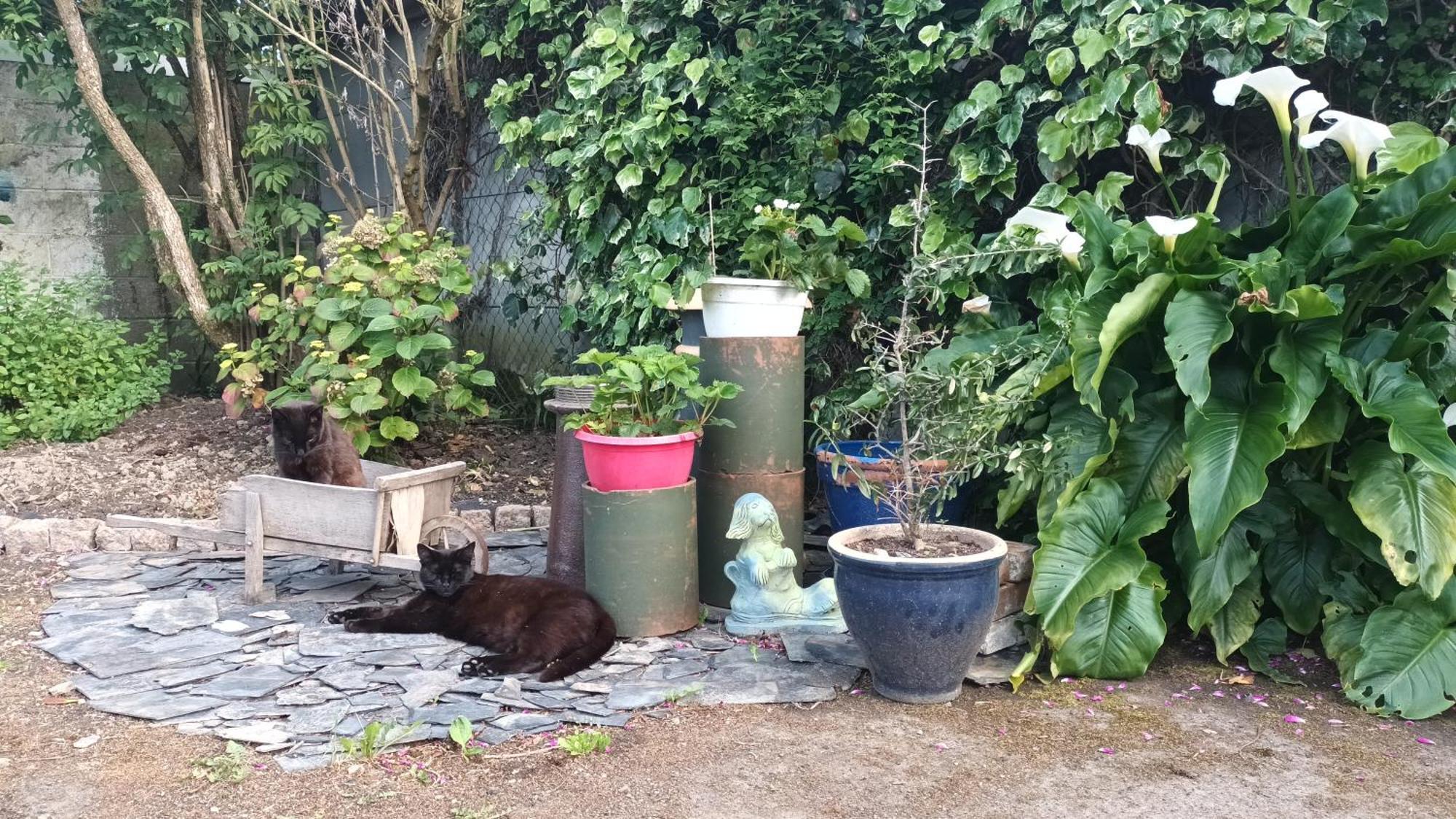 La Petite Ecole De La Baie Villa Pontorson Buitenkant foto